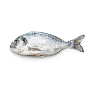 Náhľad obrázka artiklu
